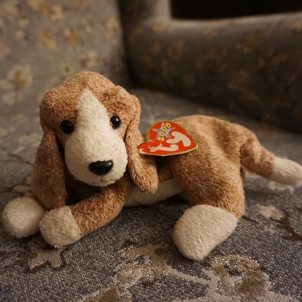 TY Beanie Baby "SNIFFER" 🐶